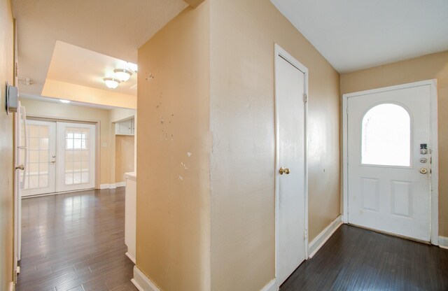 entryway featuring dark hardwood / wood-style flooring, french doors, and a wealth of natural light