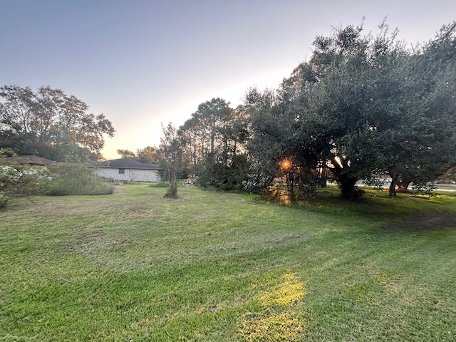 view of yard at dusk