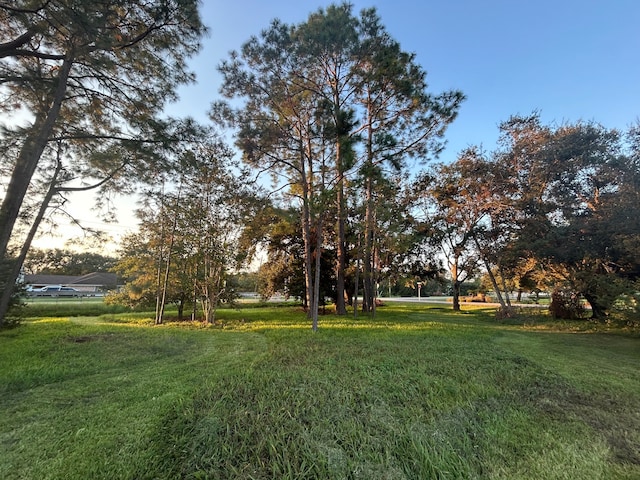 view of yard at dusk