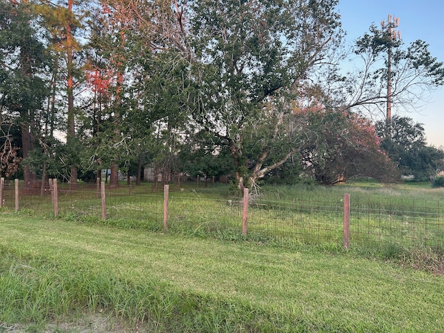 view of yard with a rural view