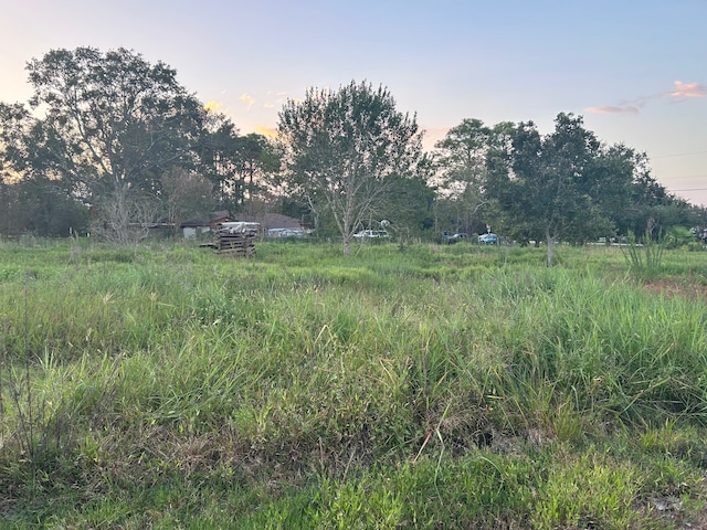 nature at dusk with a rural view