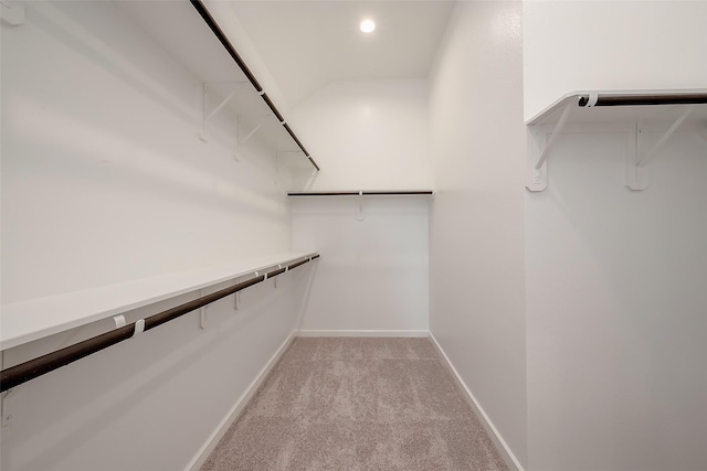 910 Rosewood Trl, Beasley, TX 77417 - spacious closet with light carpet