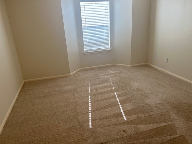 unfurnished room with light colored carpet