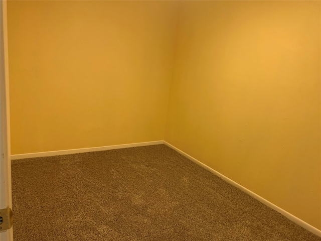 spare room featuring carpet floors