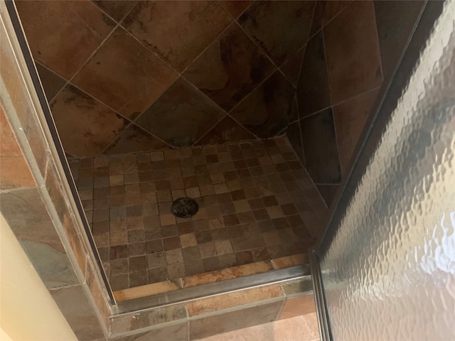 interior details featuring walk in shower