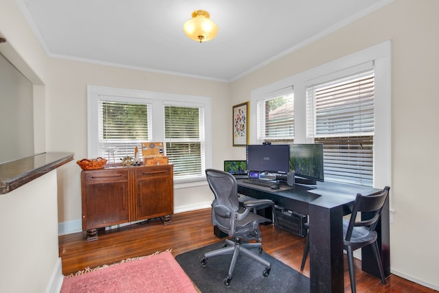 office featuring ornamental molding and dark wood-type flooring