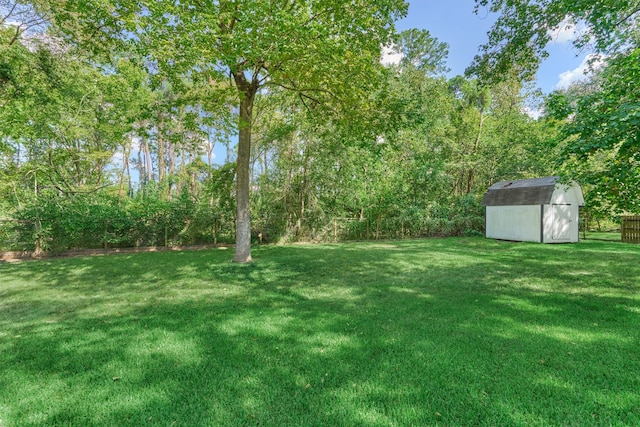 view of yard with a storage unit