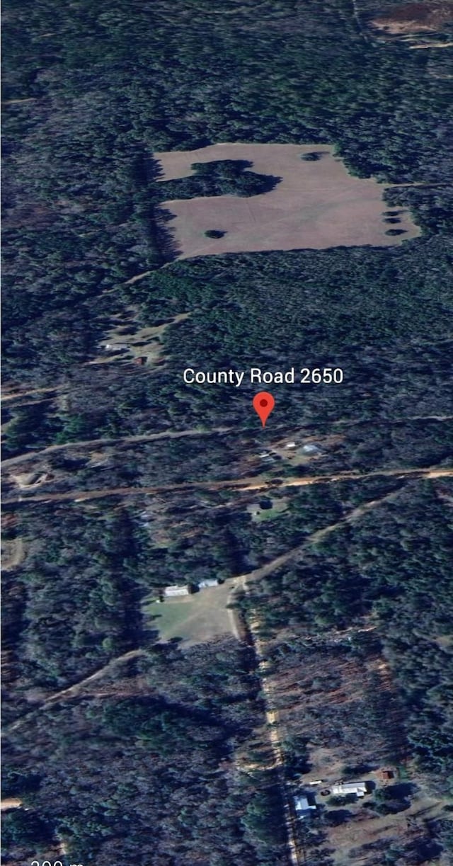 0000 County Road 2650, Livingston, TX 77327 - photo 7
