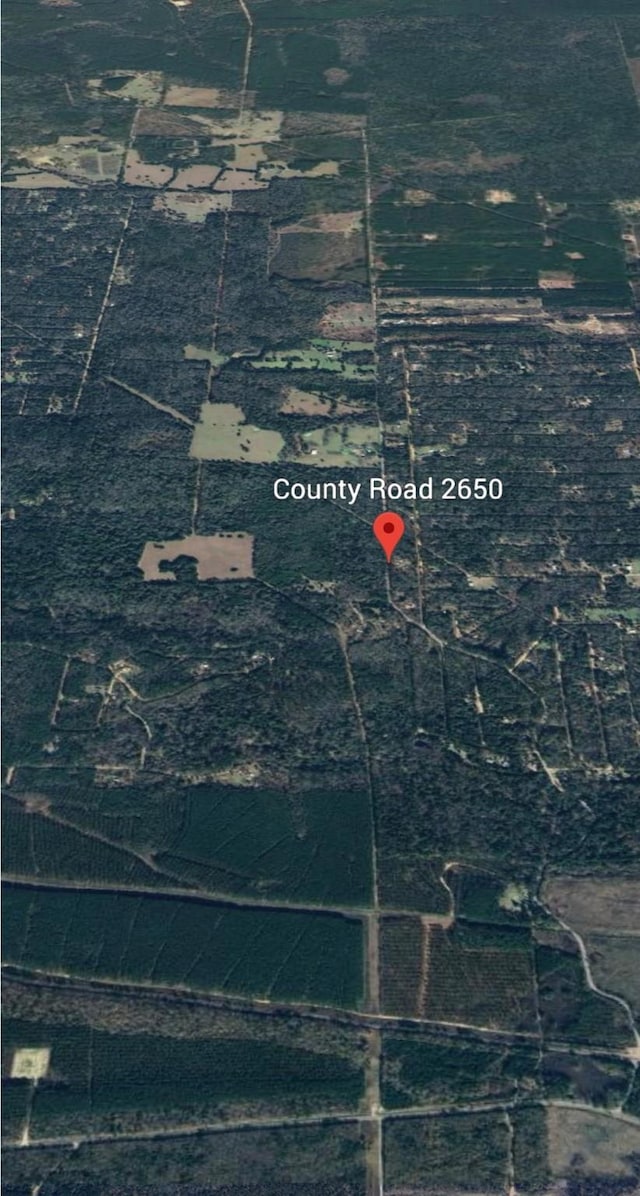 0000 County Road 2650, Livingston, TX 77327 - photo 2