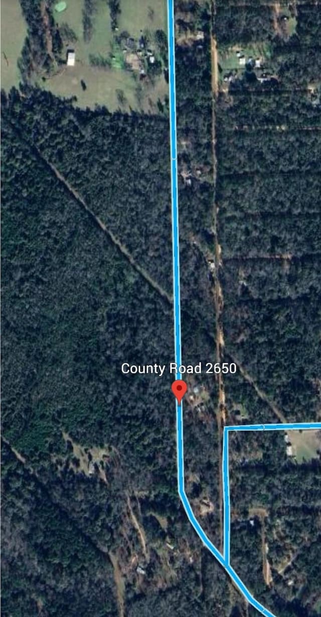0000 County Road 2650, Livingston, TX 77327 - photo 3