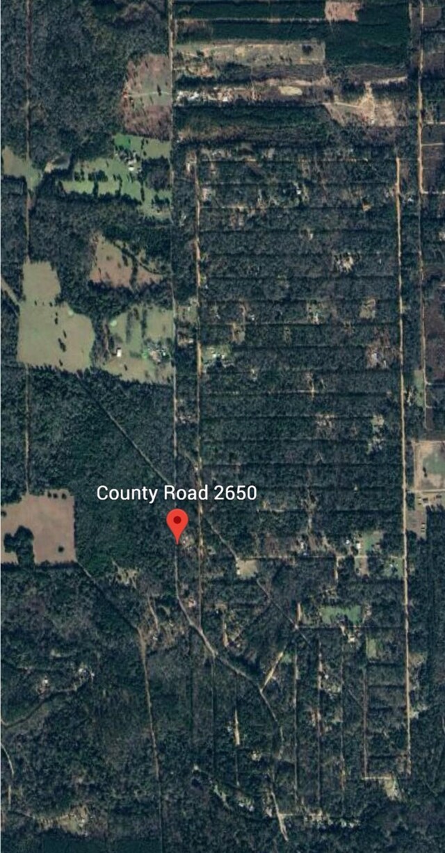 0000 County Road 2650, Livingston, TX 77327 - photo 4