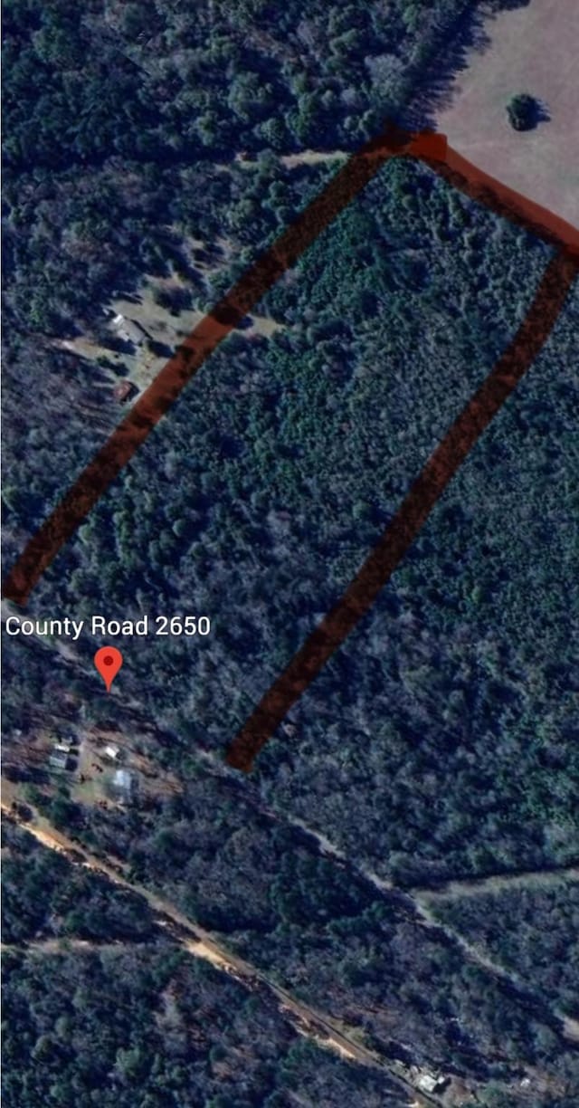 0000 County Road 2650, Livingston, TX 77327 - photo 5