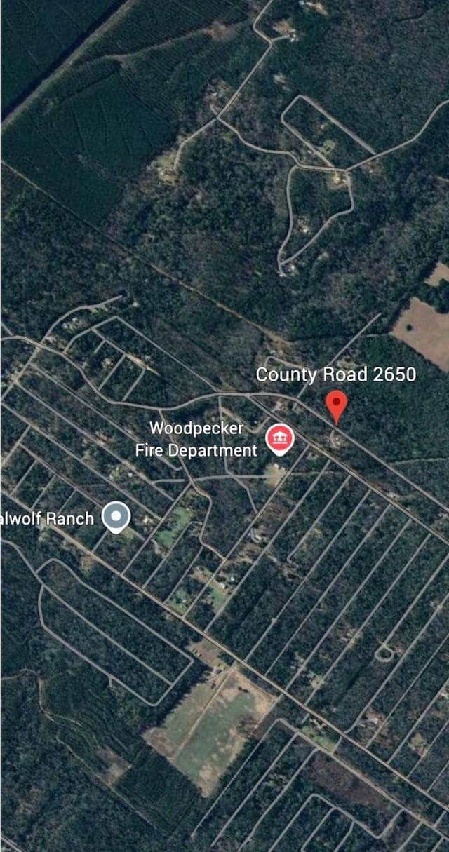 0000 County Road 2650, Livingston, TX 77327 - photo 6