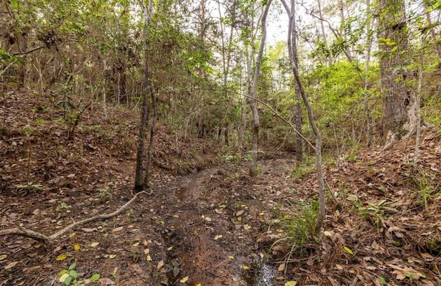0000 County Road 2650, Livingston, TX 77327 - photo 8