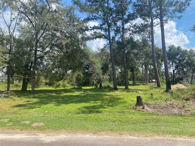 24717 Tyron St, Hempstead TX, 77445 land for sale