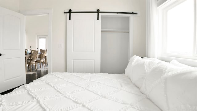 bedroom with a barn door, dark hardwood / wood-style flooring, and a closet