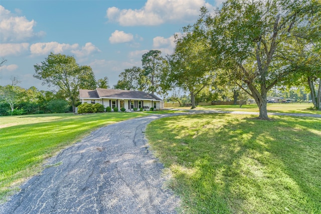 ranch-style house with a front yard