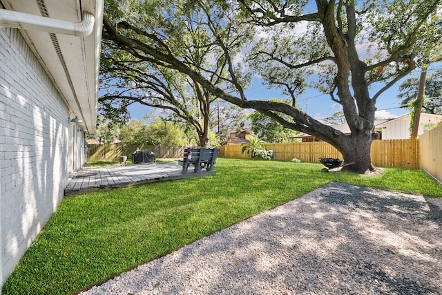 view of yard featuring a patio area and a deck