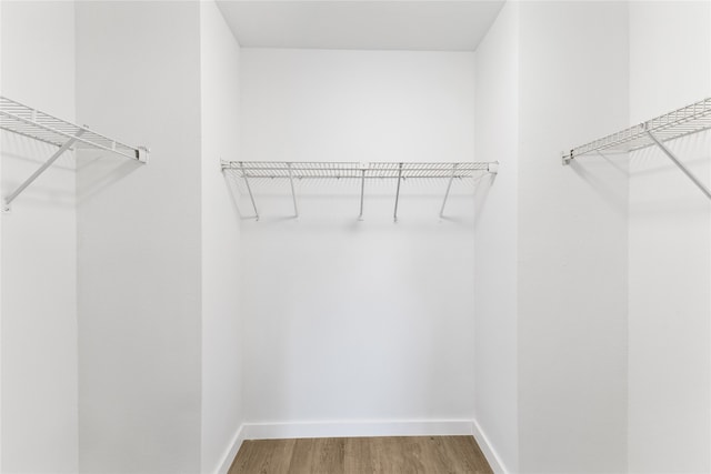 spacious closet featuring hardwood / wood-style floors