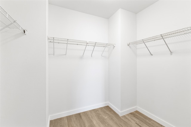 walk in closet with wood-type flooring