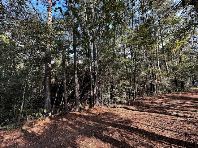 Listing photo 2 for LOT17 Yellow Poplar Ln, Plantersville TX 77363