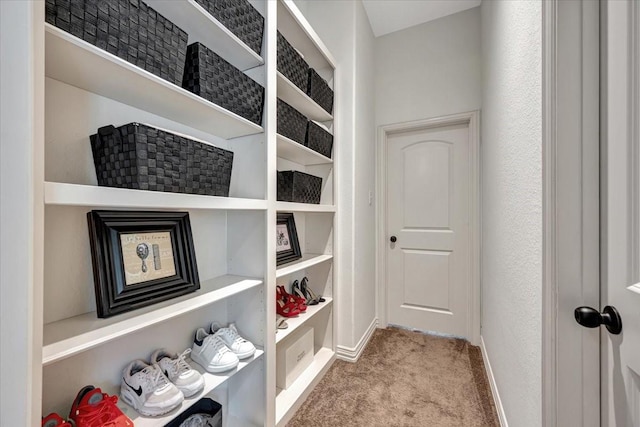 15026 Blossom Bay Dr, Houston, TX 77059 - spacious closet featuring carpet floors