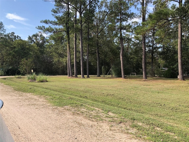523 Petersburg Dr, Goodrich, TX 77335 - photo 2