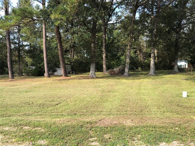 523 Petersburg Dr, Goodrich, TX 77335 - photo 3