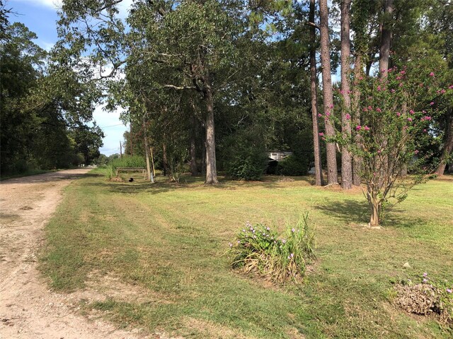 523 Petersburg Dr, Goodrich, TX 77335 - photo 5