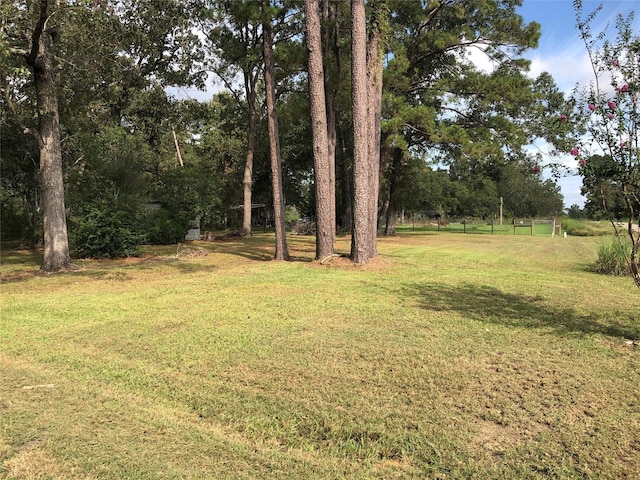 523 Petersburg Dr, Goodrich, TX 77335 - photo 6