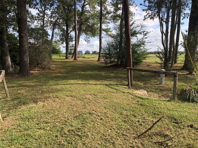 523 Petersburg Dr, Goodrich, TX 77335 - photo 7