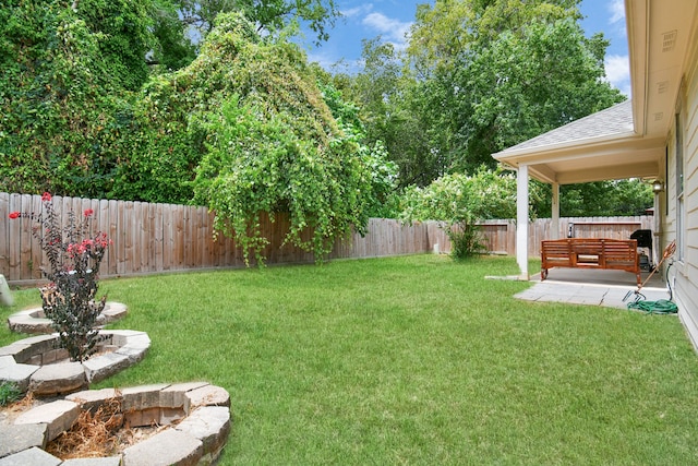 view of yard with a patio area