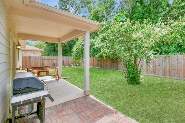 view of yard featuring a patio area