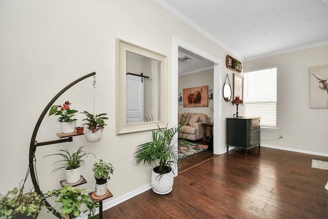 interior space featuring a barn door, dark hardwood / wood-style flooring, and ornamental molding