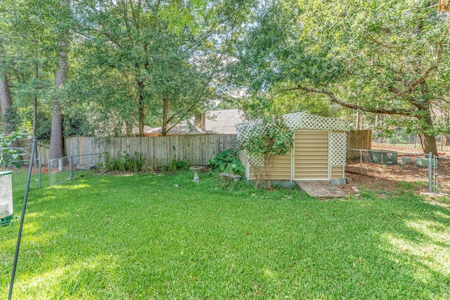 view of yard featuring a shed