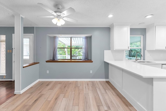 kitchen featuring light wood-type flooring, white cabinetry, sink, and ceiling fan