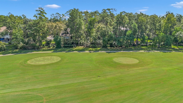 surrounding community featuring a yard