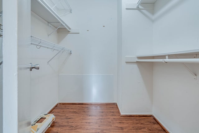 walk in closet featuring wood-type flooring