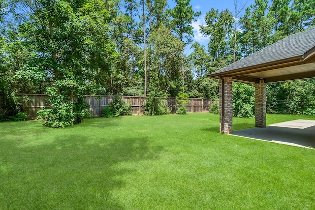 view of yard featuring a patio