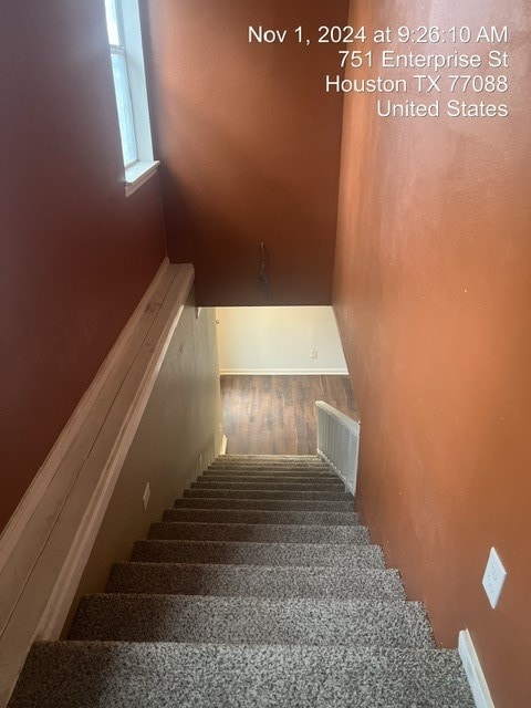 stairs with carpet floors