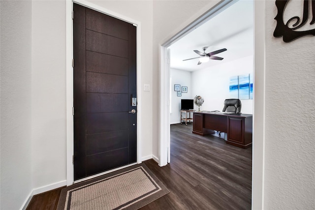 foyer featuring ceiling fan and dark hardwood / wood-style flooring