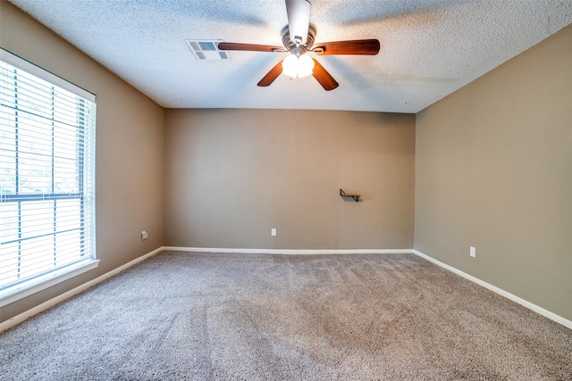 spare room with plenty of natural light, carpet flooring, and a textured ceiling