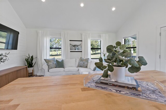 living room featuring wood-type flooring and lofted ceiling