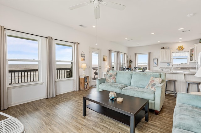 living room with wood-type flooring, ceiling fan, a healthy amount of sunlight, and sink