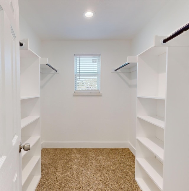 spacious closet with light carpet