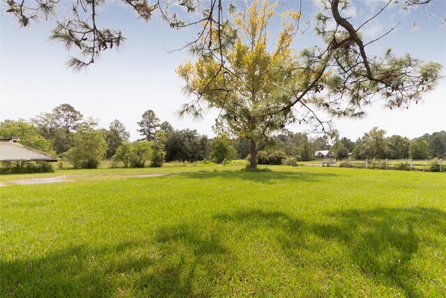 view of yard featuring a rural view