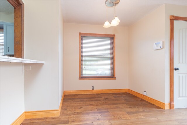 unfurnished room featuring wood-type flooring