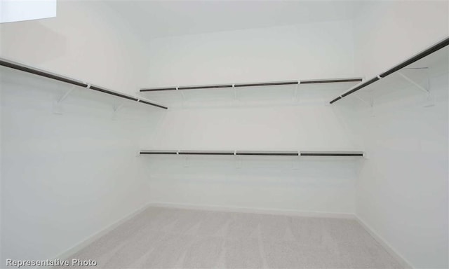 walk in closet with light colored carpet