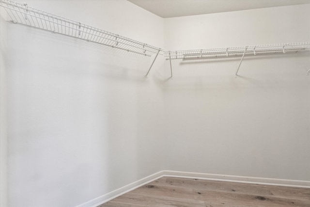 spacious closet with wood-type flooring