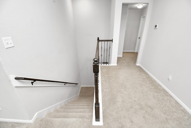 staircase featuring carpet flooring